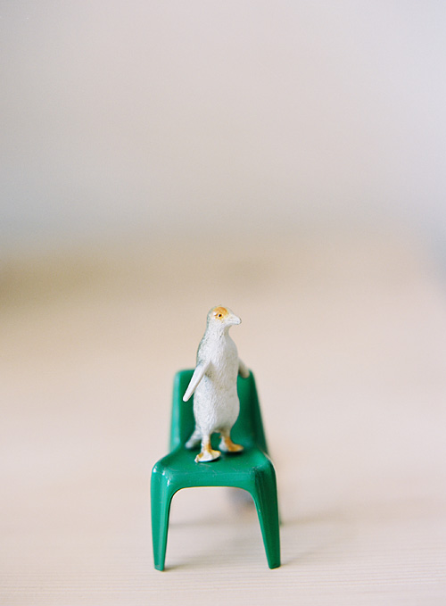 Mr. Penguin on a Chair