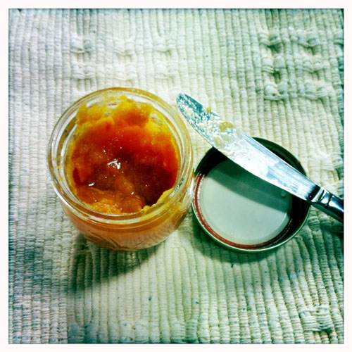 Persimmon freezer jam