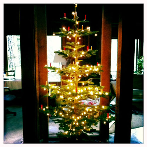 christmas tree
