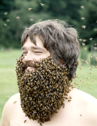 beekeeper