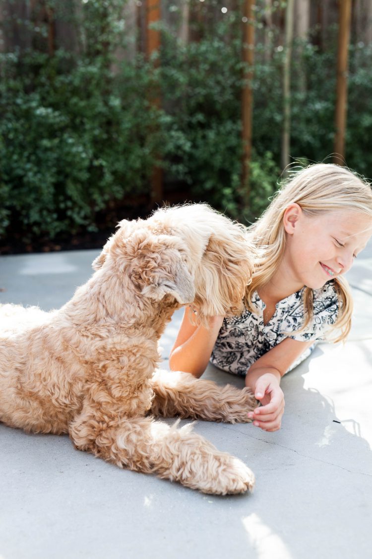 a girl and her dog