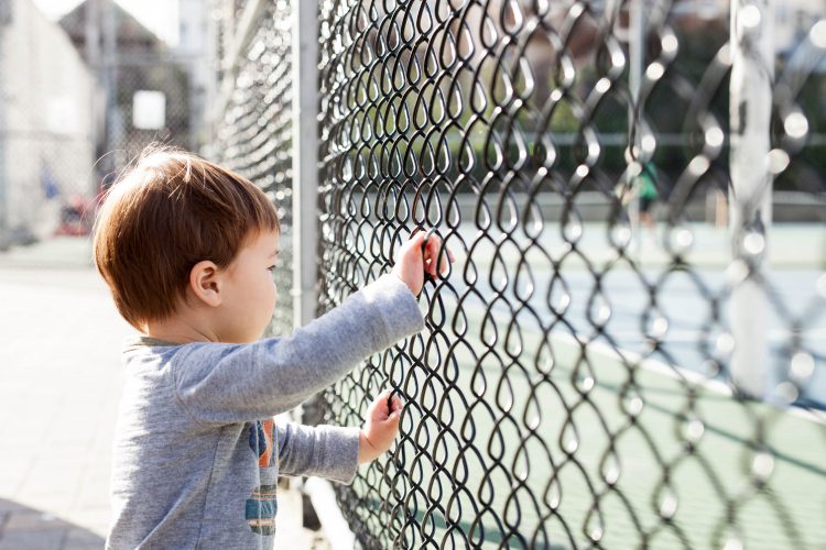 byoung boy looking through chain-link fence