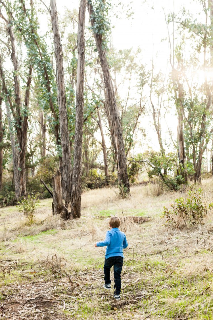 boy in a field