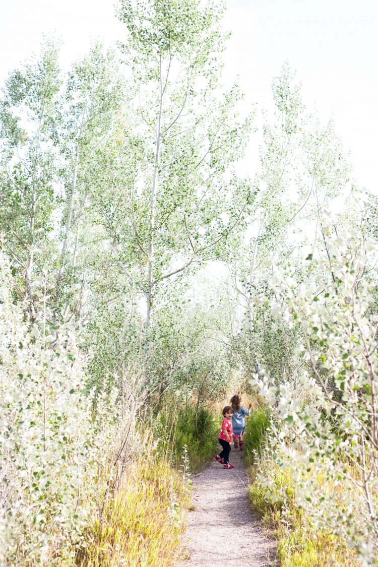 kids walking down a colorado path